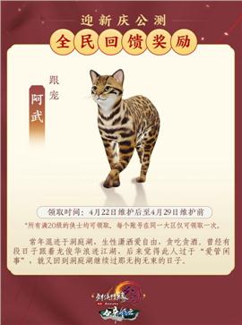 天龙八部私服常见账号